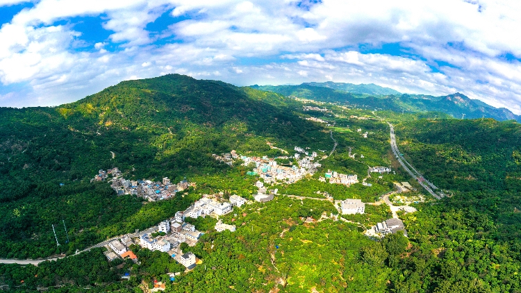 偏僻山村變網紅村去從化南平打卡探營廣州的鄉村振興