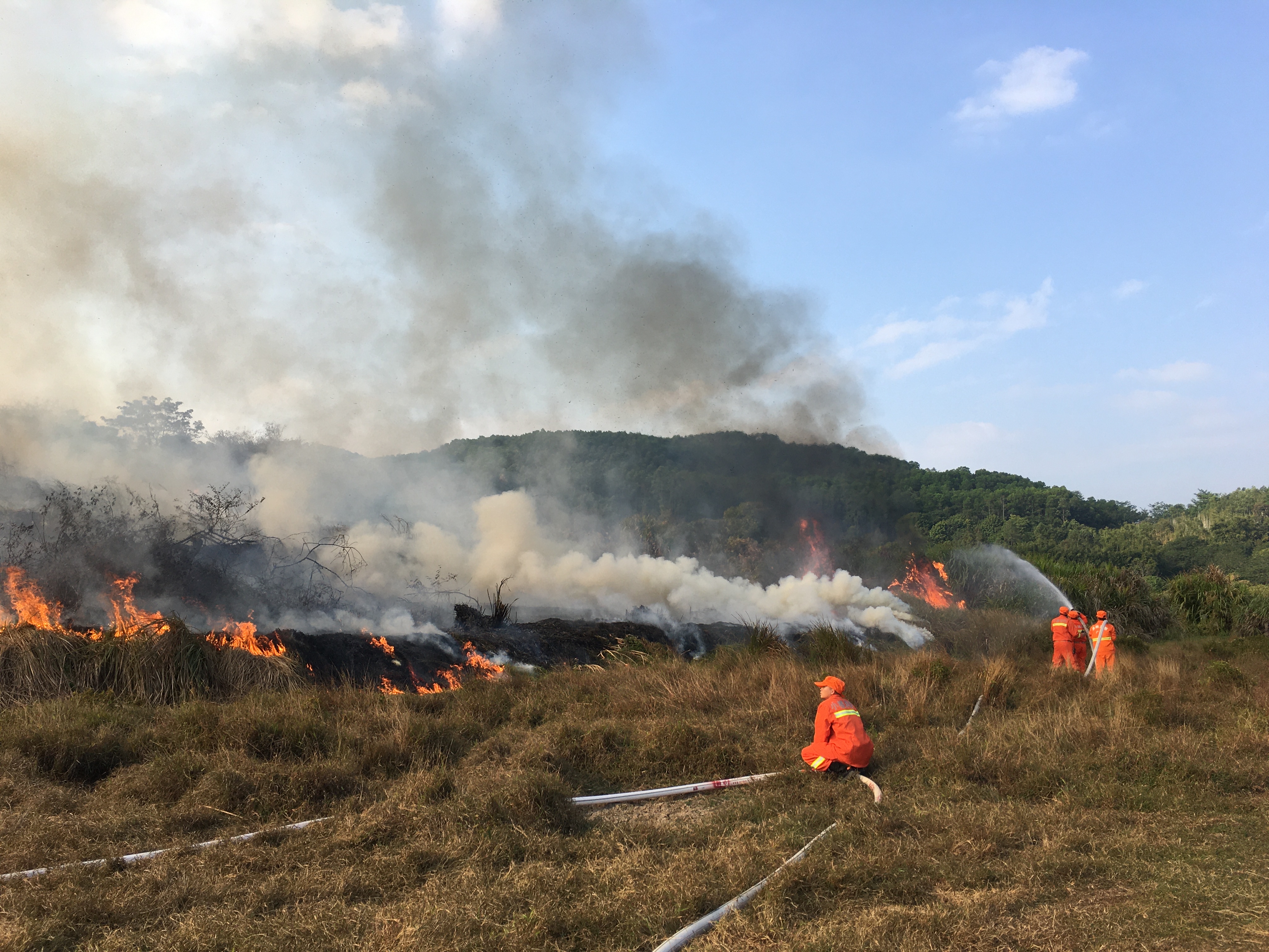 广州市森林防灭火指挥部在增城区举办2020年森林火灾应急处置实战演习