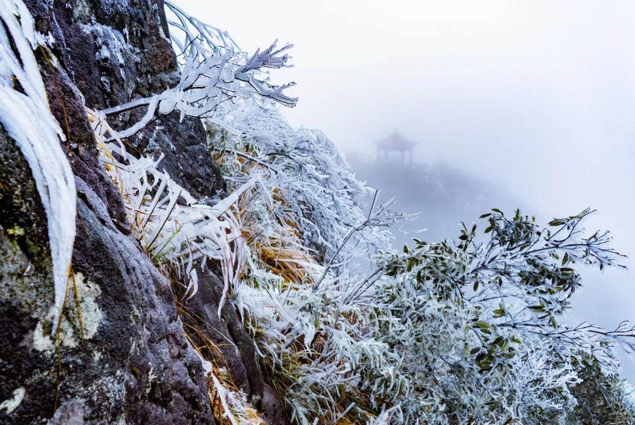 连山金子山看雪图片