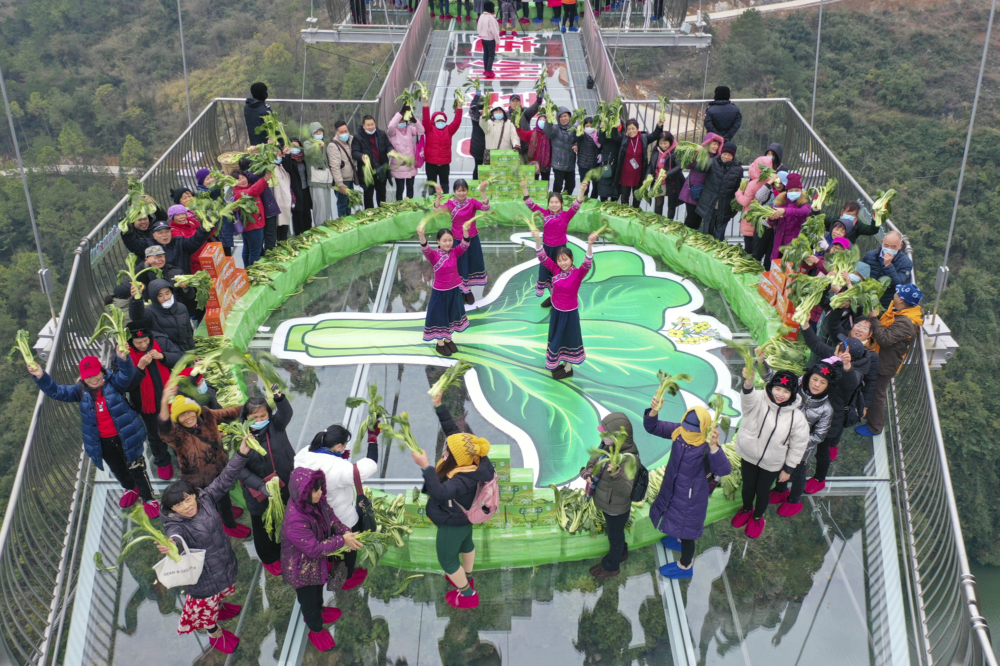 2020年连州菜心嘉年华开启天桥街市