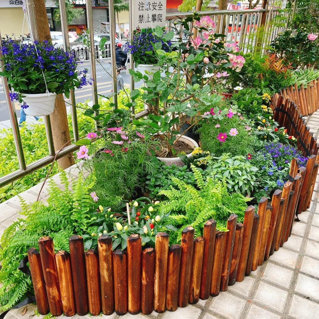 华南农业大学园林设计专业老师,植物种植专业老师及其学生志愿者团队