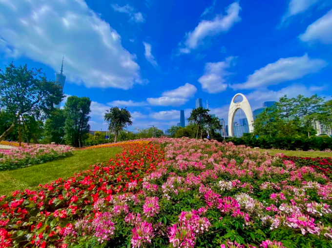 花城美景