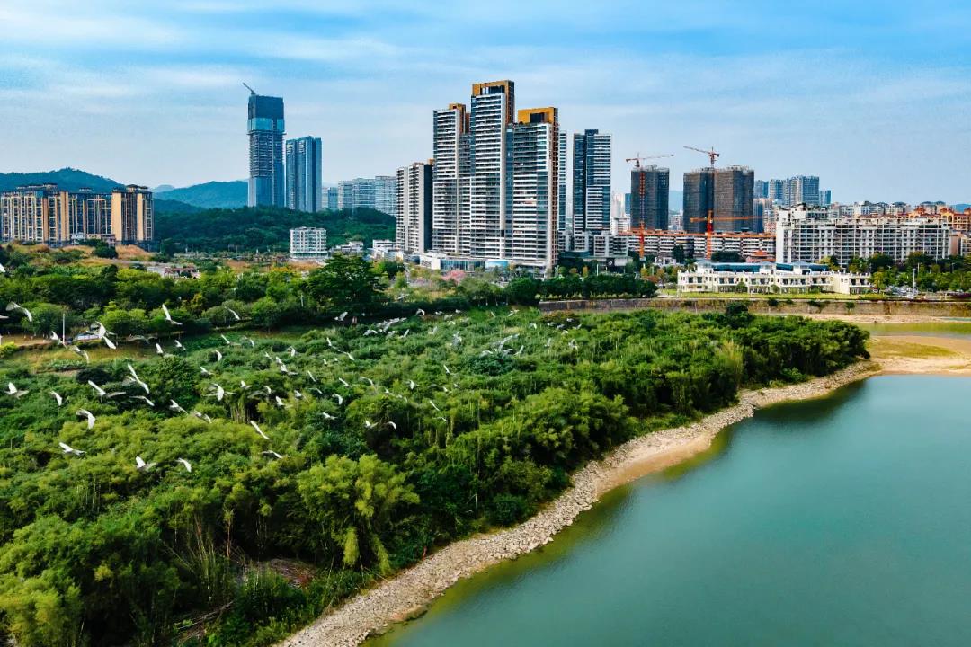 增城去年旅游收入115亿元