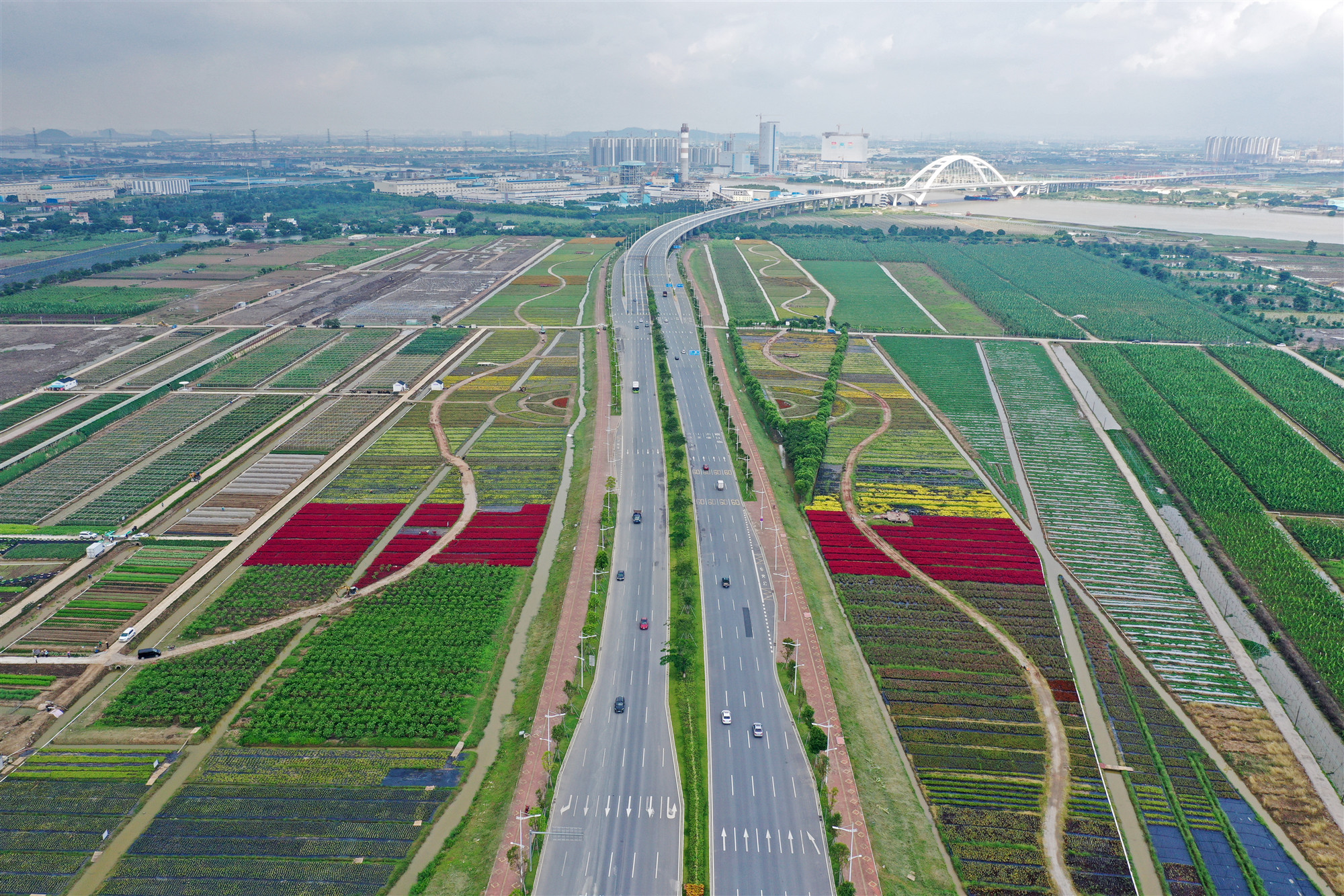 广州南沙:打造东南西北中五大农业发展区