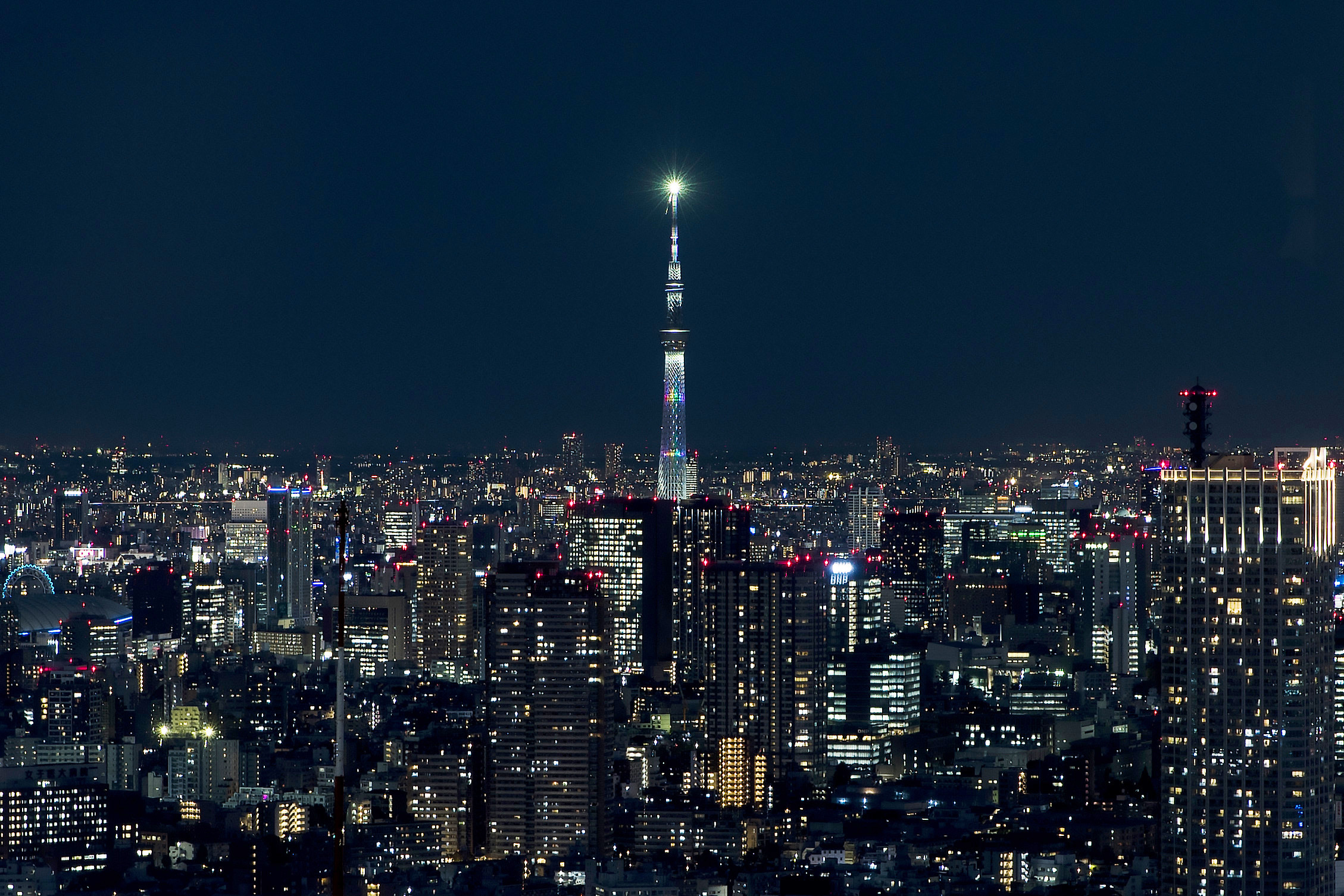 这是2020年11月10日在日本东京都厅展望室拍摄的晴空塔和东京夜景