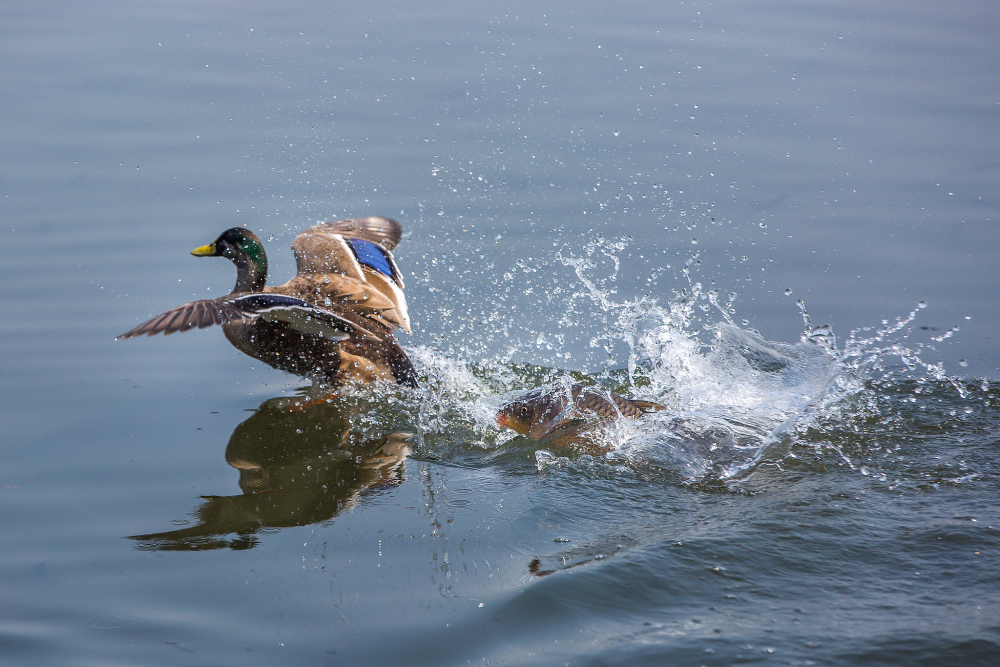 20210201162603_8426_w2048_h1366