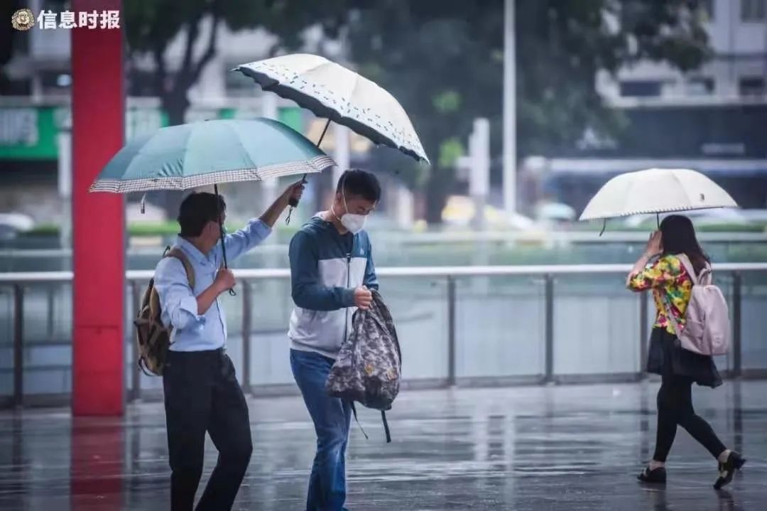 大到暴雨！2021年广州第一场大范围降雨即将登场