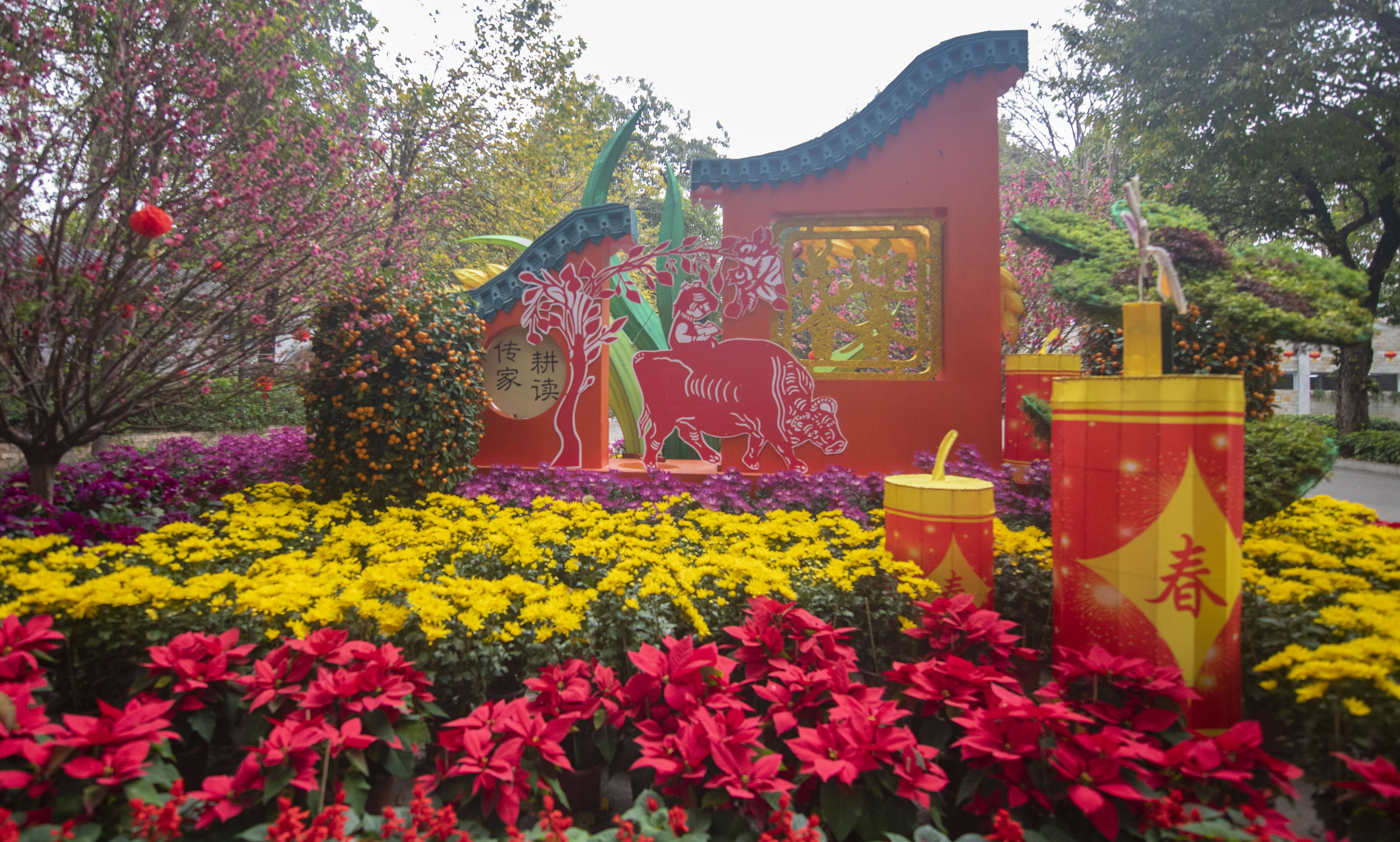 2021广州过年花城看花宣传片花样幸福重磅发布花絮来了