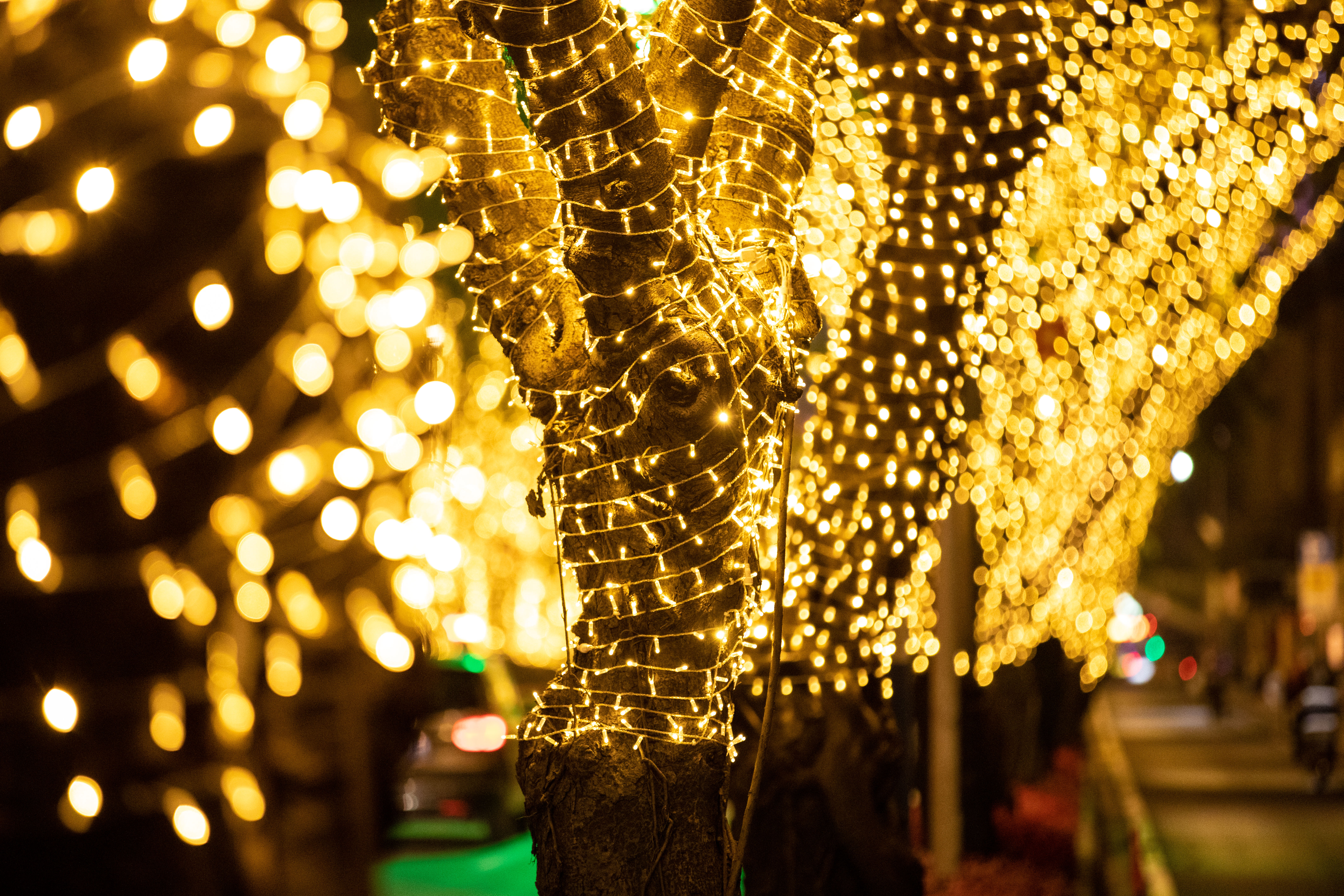 图集白天看尽繁花夜晚畅游灯海