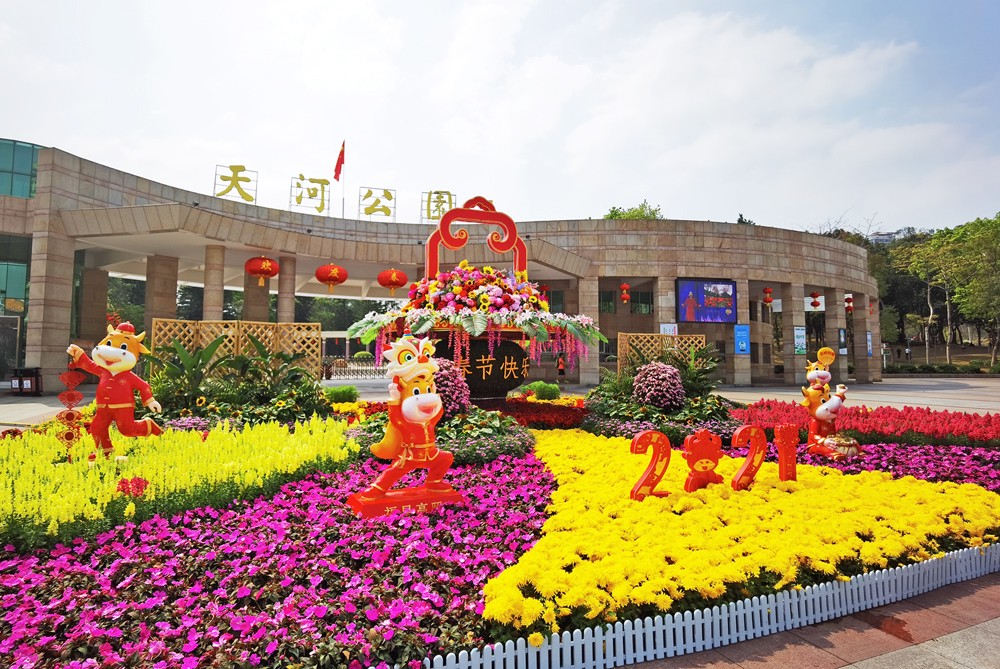 广州天河公园:满园春色 芬芳吐艳