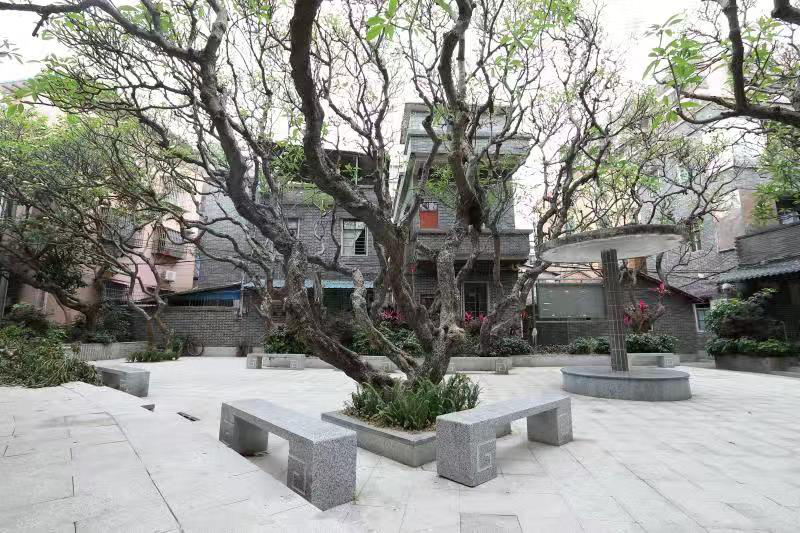 (图:杏花社区馨园重新铺设了地砖,增设了休闲座椅,重建花基使百年鸡蛋花树展现蓬勃生机)