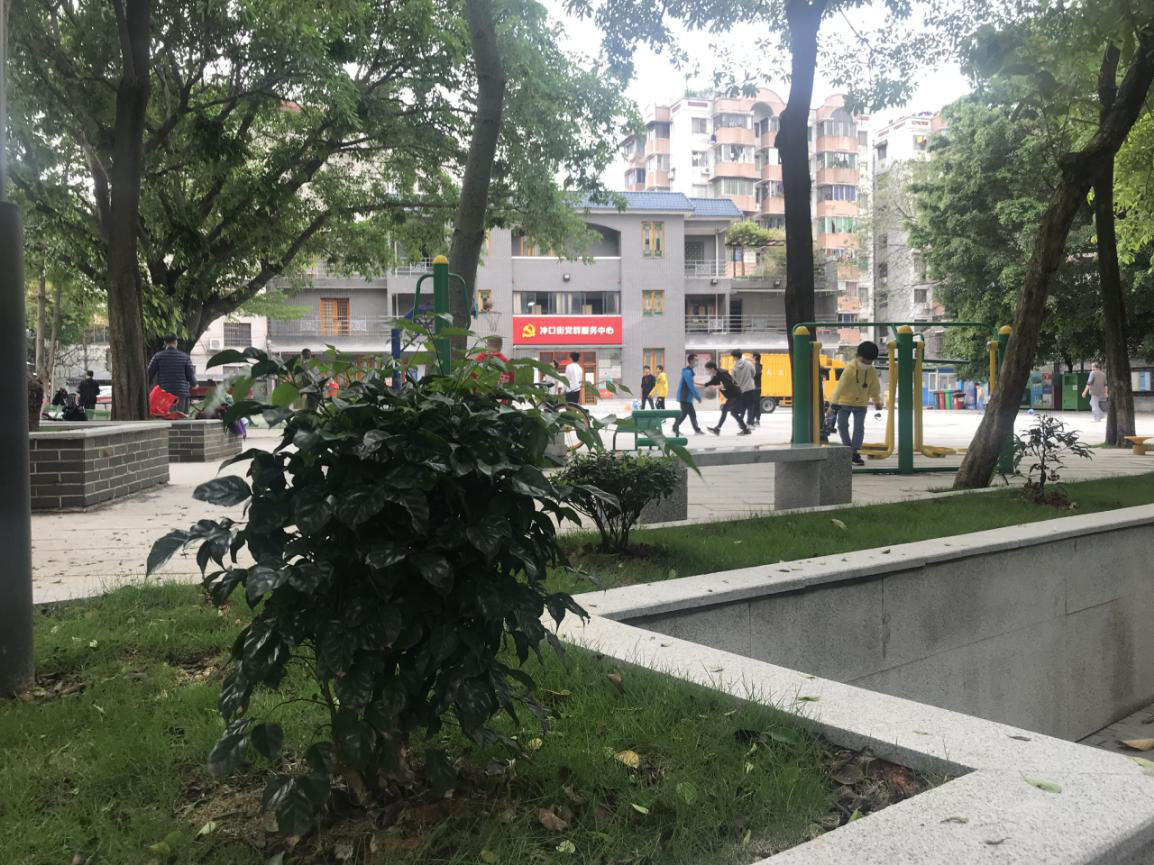 (图:杏花广场重新铺设地面,新建了花基、增加了绿化,建设了体育设施,成为居民群众运动、休闲的好地方)