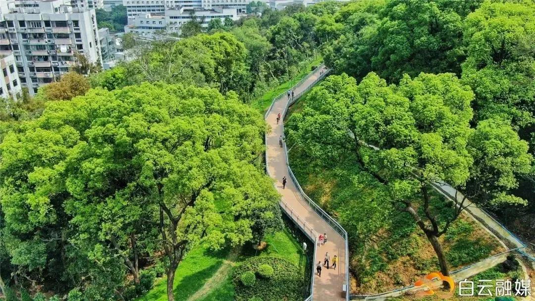 微信图片_20210319205858