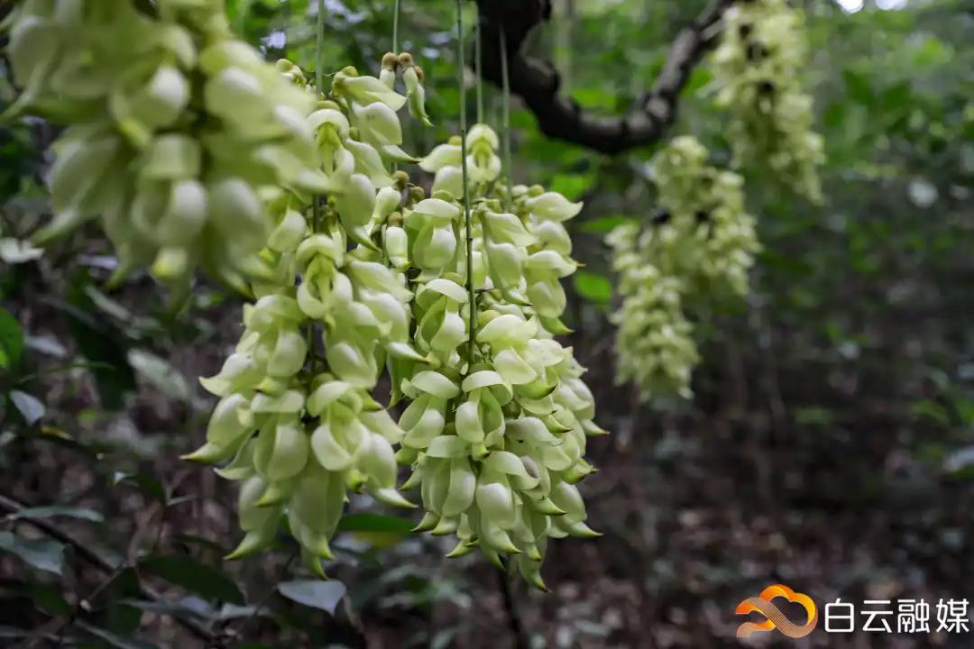 微信图片_20210319215125