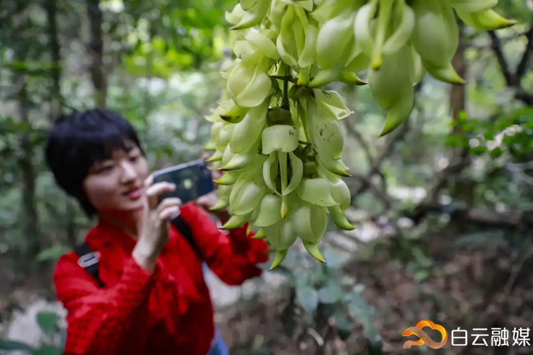 微信图片_20210319215353