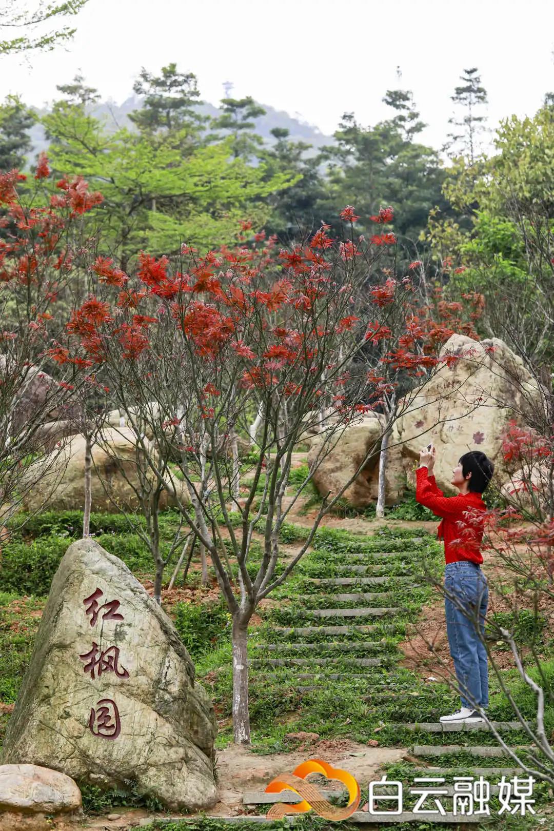 微信图片_20210319215540