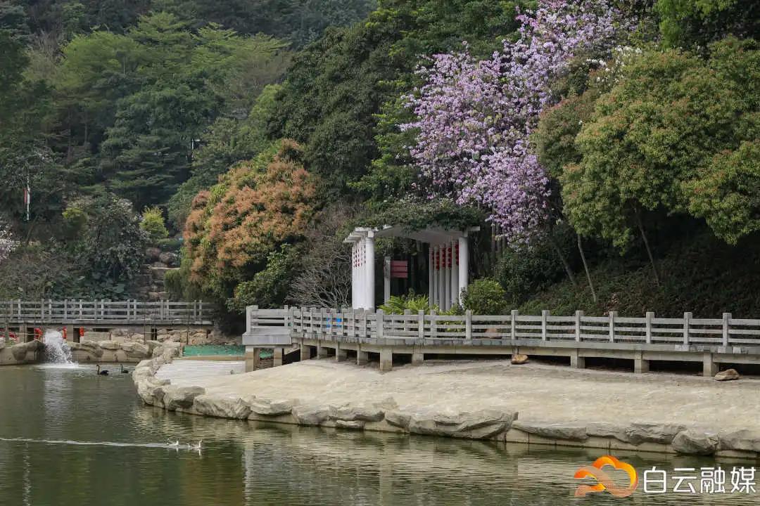 微信图片_20210319215628