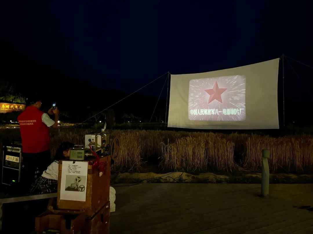 麦田里看露天电影,罗洞工匠小镇越夜越精彩