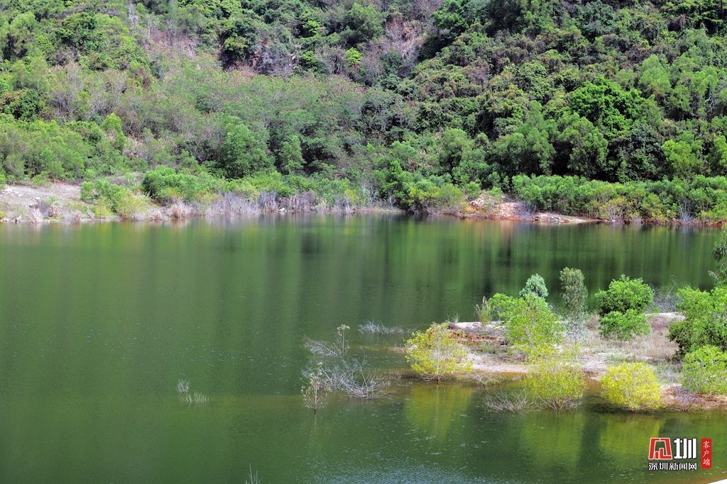 深圳梅林水库图片图片