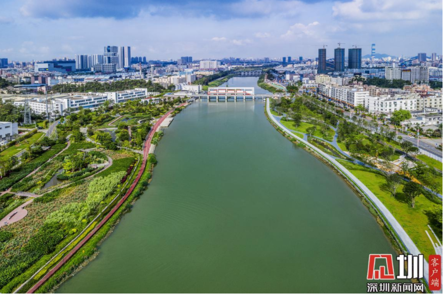 世界水日来了!深圳这些亲水打卡地都安排好啦,请查收!