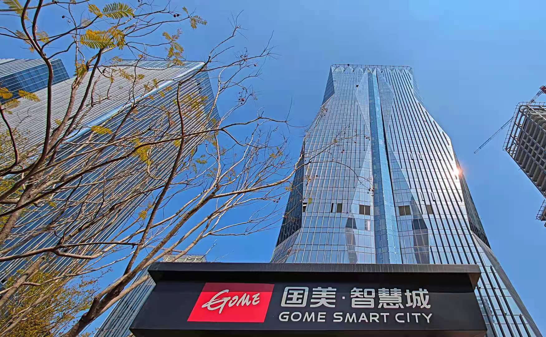 邀董明珠站台国美发力直播带货