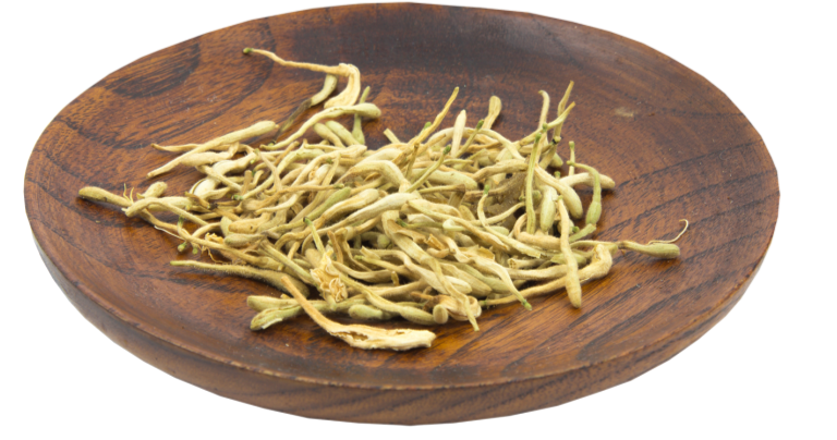 摄图网_401345159_中药金银花(非企业商用).png 图片