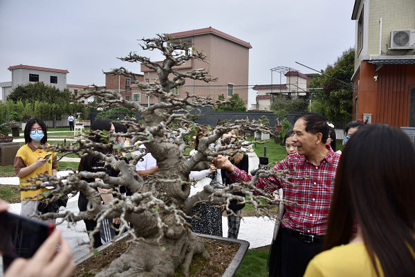 花都赤坭鎮數字農業直播節將於4月29日開啟