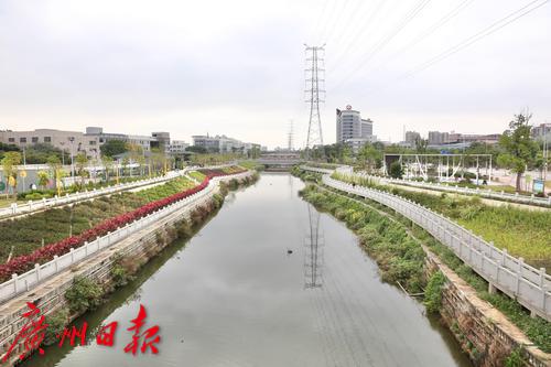 沿着高速看中国(广东 黄沙河同沙段治水:东莞海绵城市建设先行者