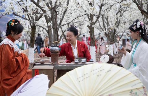 3月6日,在汉源县九襄镇三强村,来自成都的汉服爱好者在梨花林里喝茶。新华社发