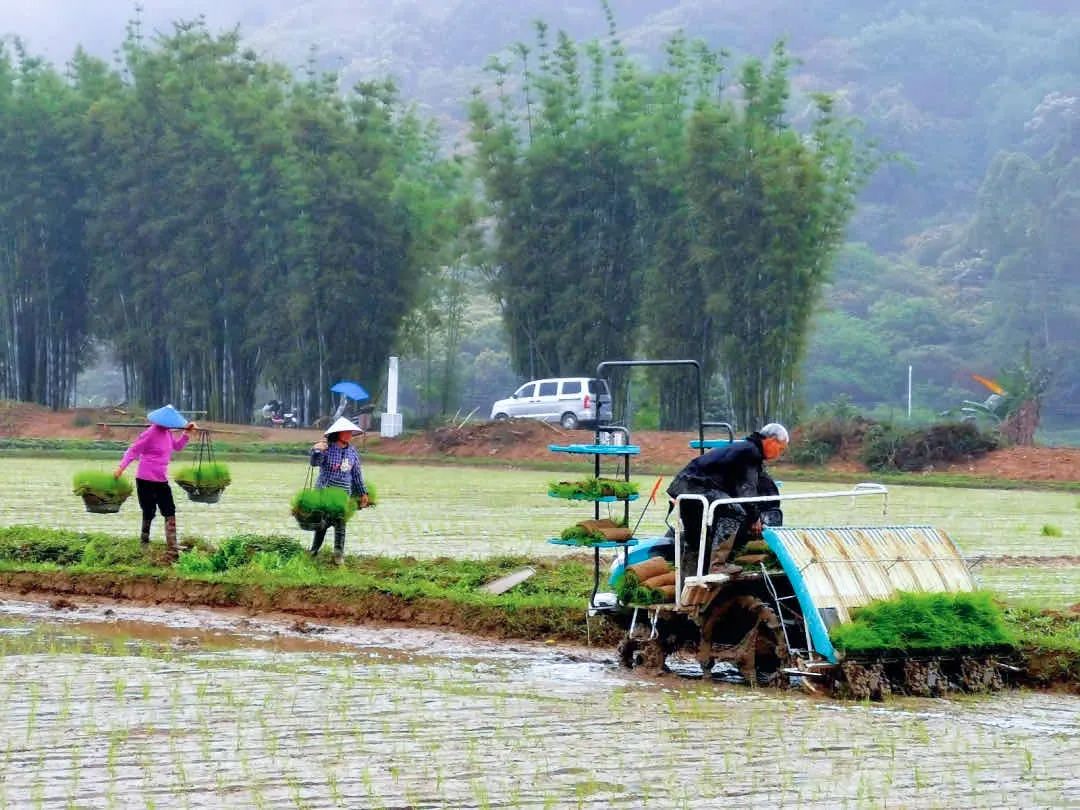 “解码”艾米稻香小镇 | 爱上街口的100个理由