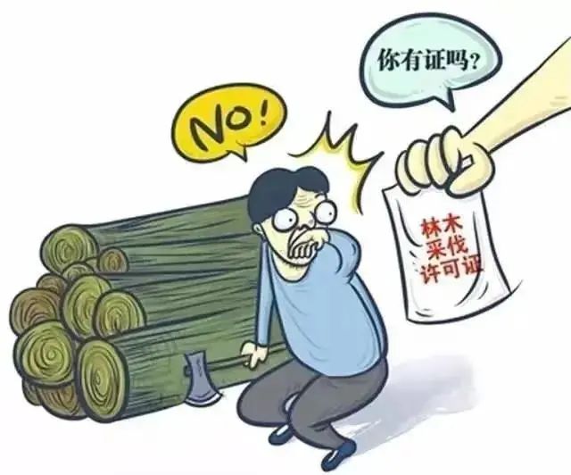 增城有2人在自家山上砍树获刑，这是为什么？