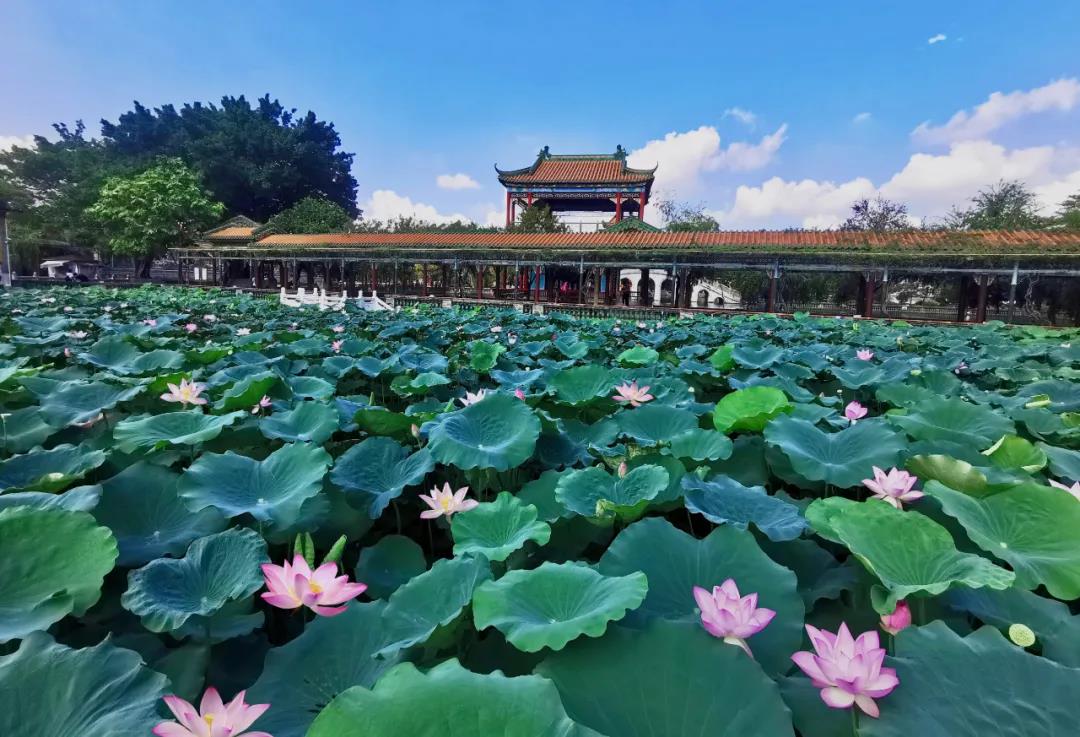 1619691667381027718.jpg 微信图片_20210429120840.jpg