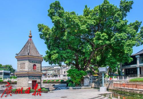 1619691902803009960.jpg 3.jpg