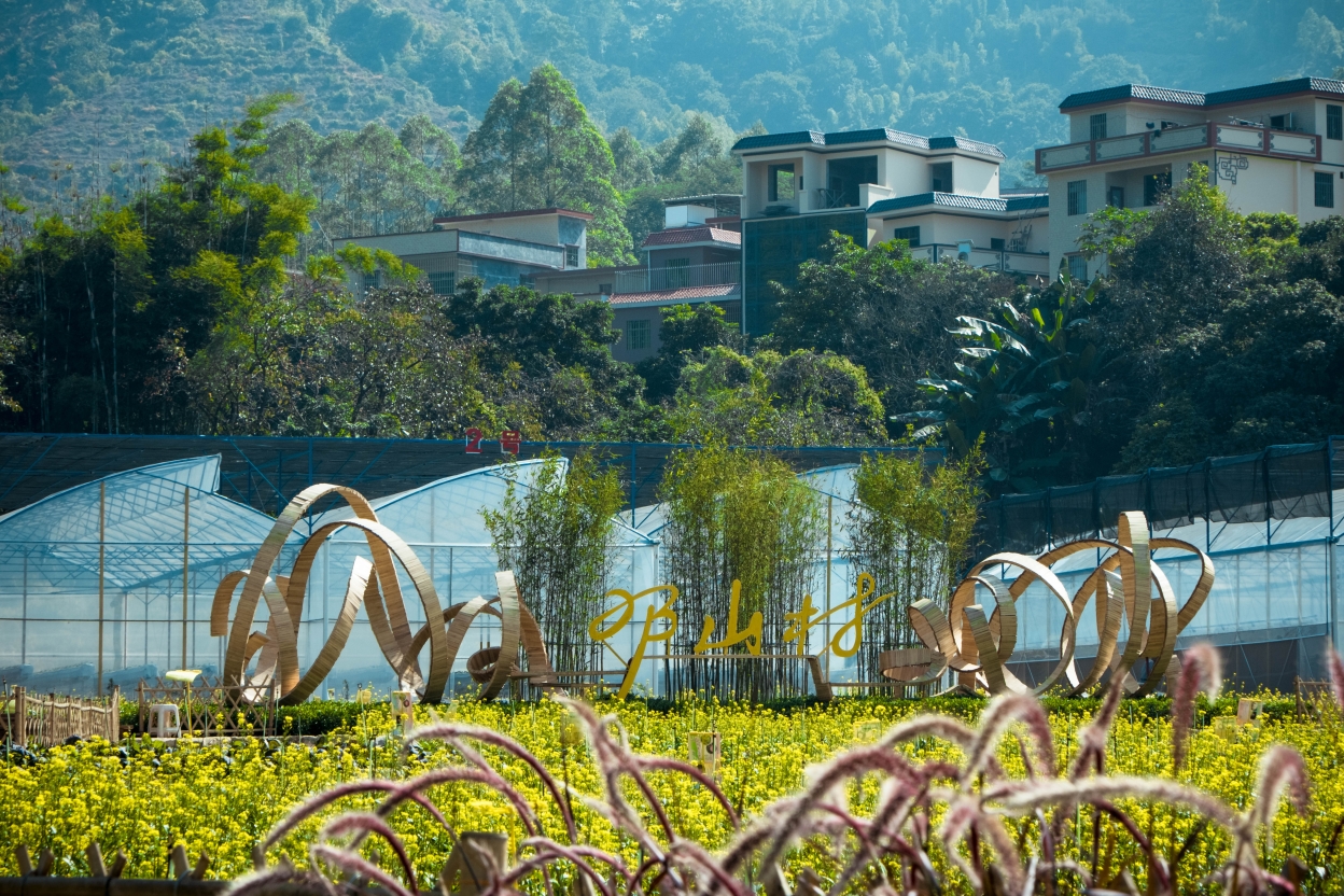 乡村美如画!增城区邓山村打造乡村文旅融合示范区