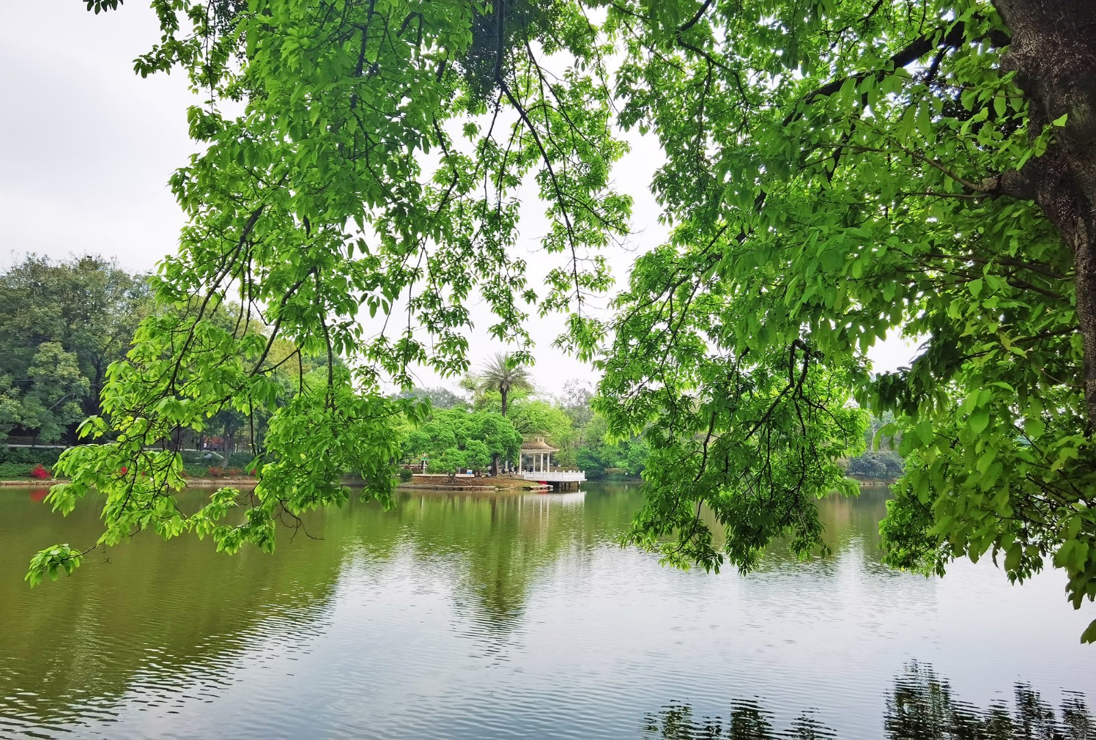 天河湖波光粼粼,湖边树木葱茏,双层亭掩映其间,如诗如画.