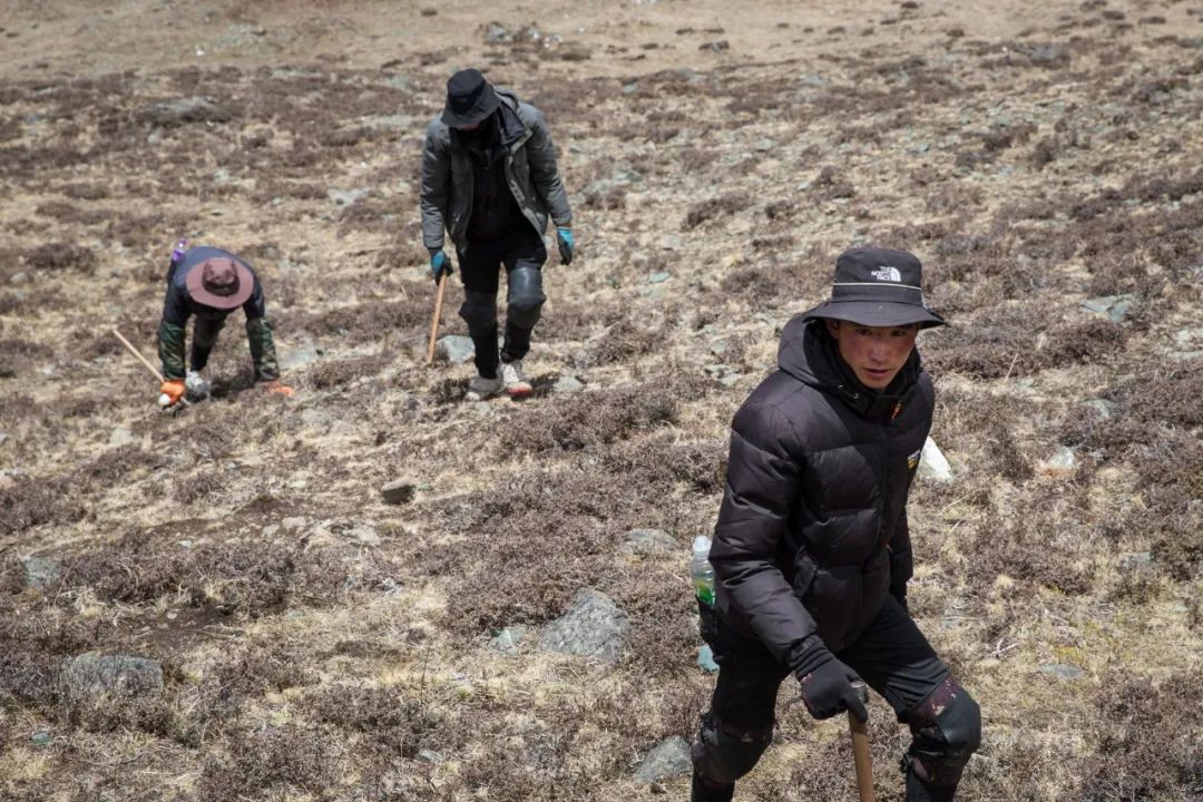 理塘人终于"抛弃"丁真