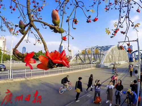 1622567077448042332.jpg binary_middle (13).jpg