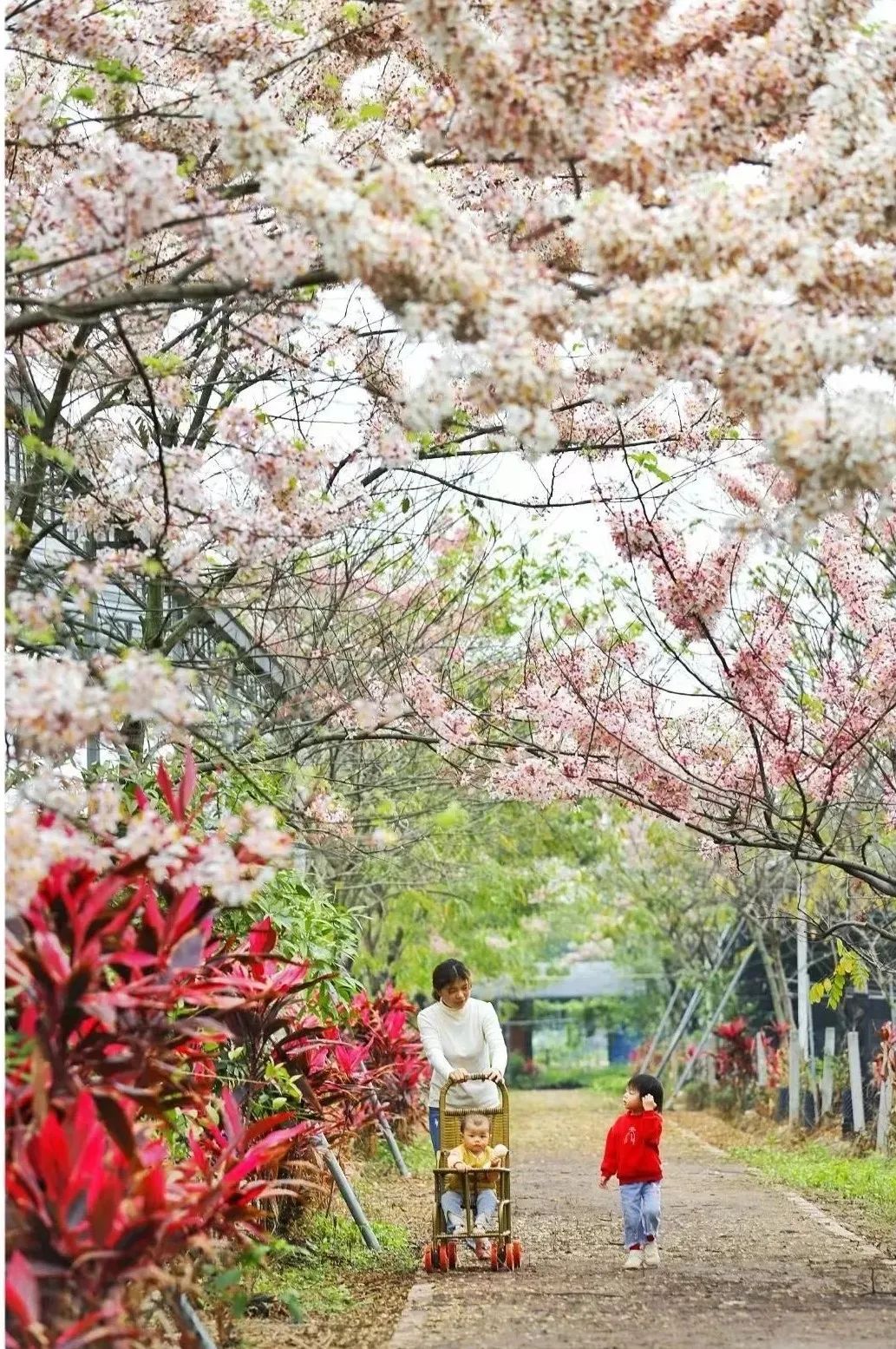 狮前村旅游景点图片