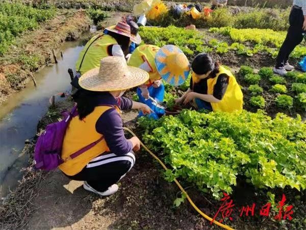(资料图:大龙街社工服务站开展亲子先锋农耕菜园助困境居民)