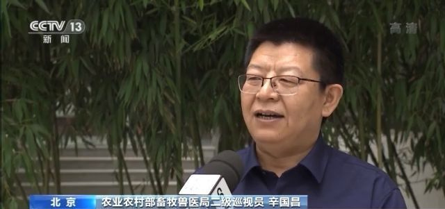 根据农业农村部最新监测,5月份,能繁母猪存栏量连续20个月环比增长
