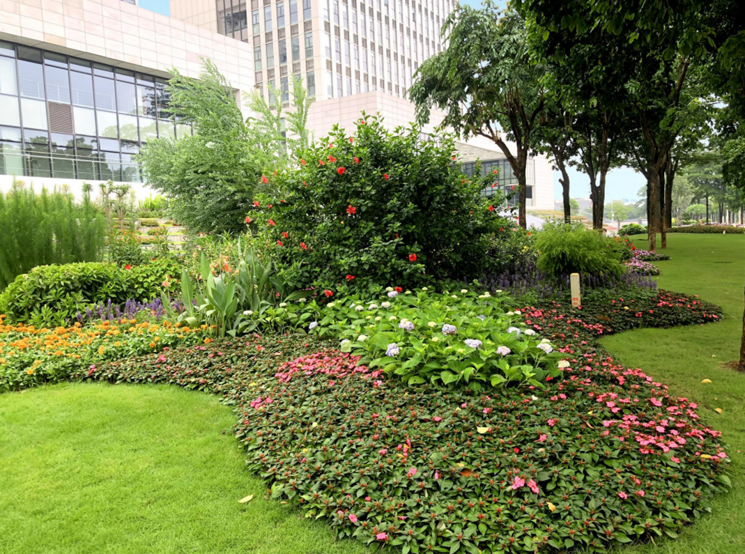 项目规模:花境设计面积约530㎡(其中北门西侧花境面积为329㎡,湖心岛