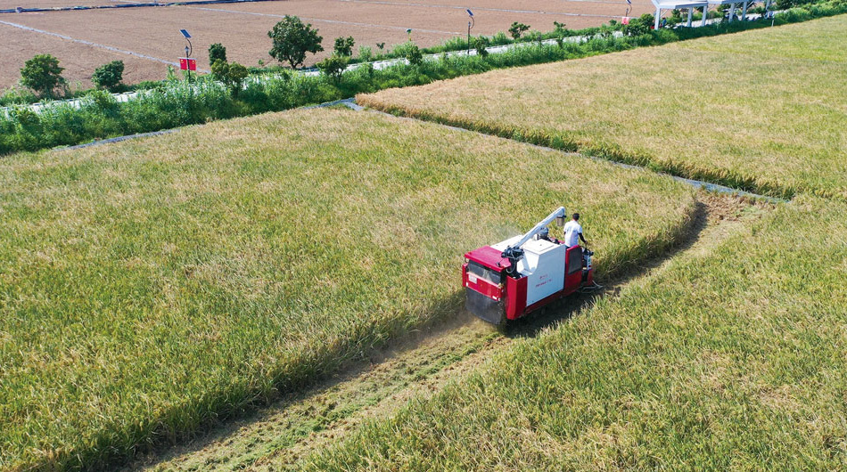 1627366366770001041.png image.png