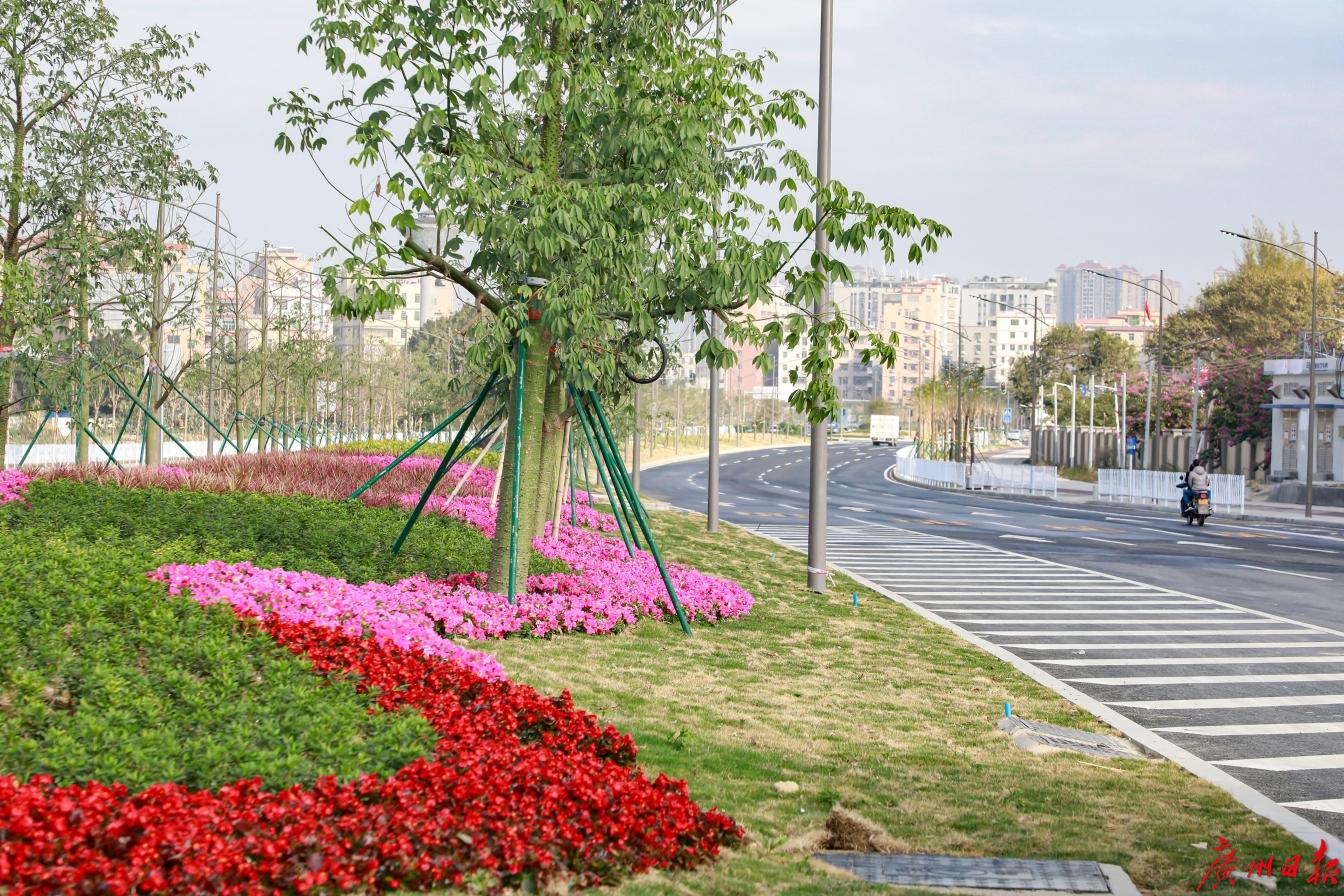 铁腕整治:破而后立白云大道"脱胎换骨"