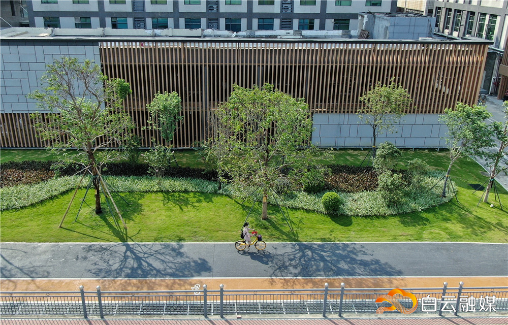 鹤龙段 (3)-01 鹤龙段 (3)-01