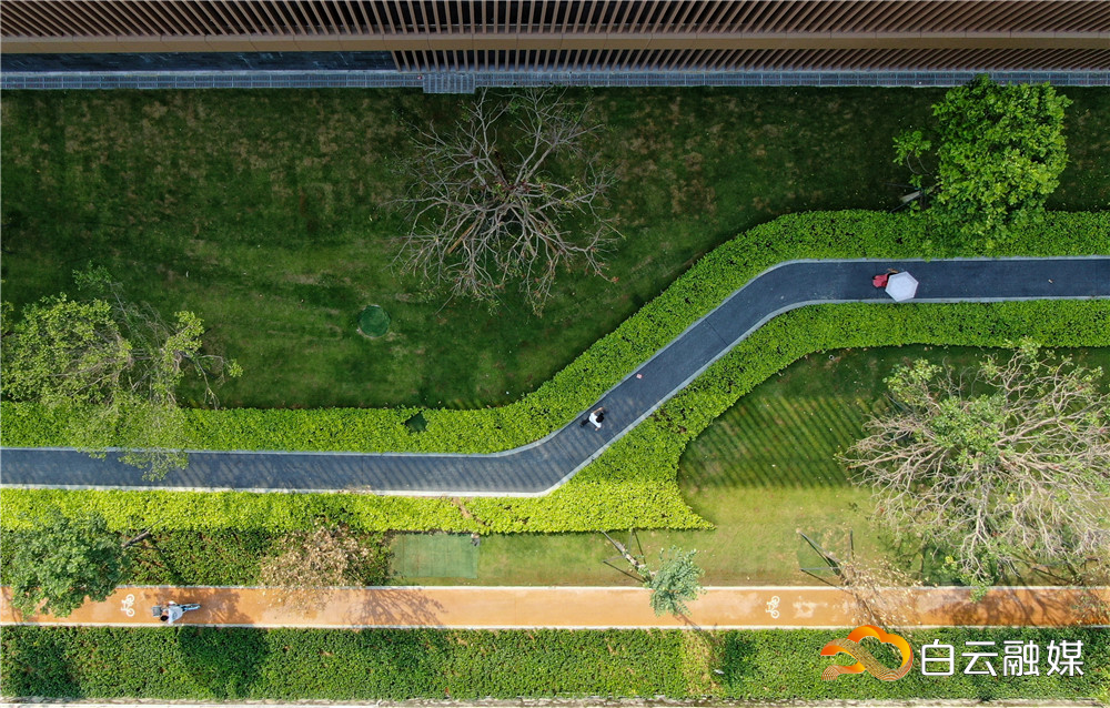 鹤龙段 (7)-01 鹤龙段 (7)-01