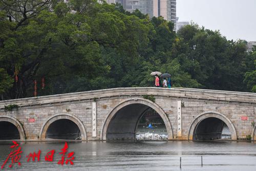 雨后荔枝湾 文/广州日报·新花城记者 苏韵桦