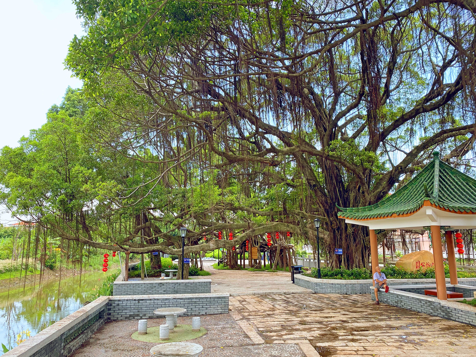 美丽街区:改造后的湾口坊公园是村民的幸福“微空间”