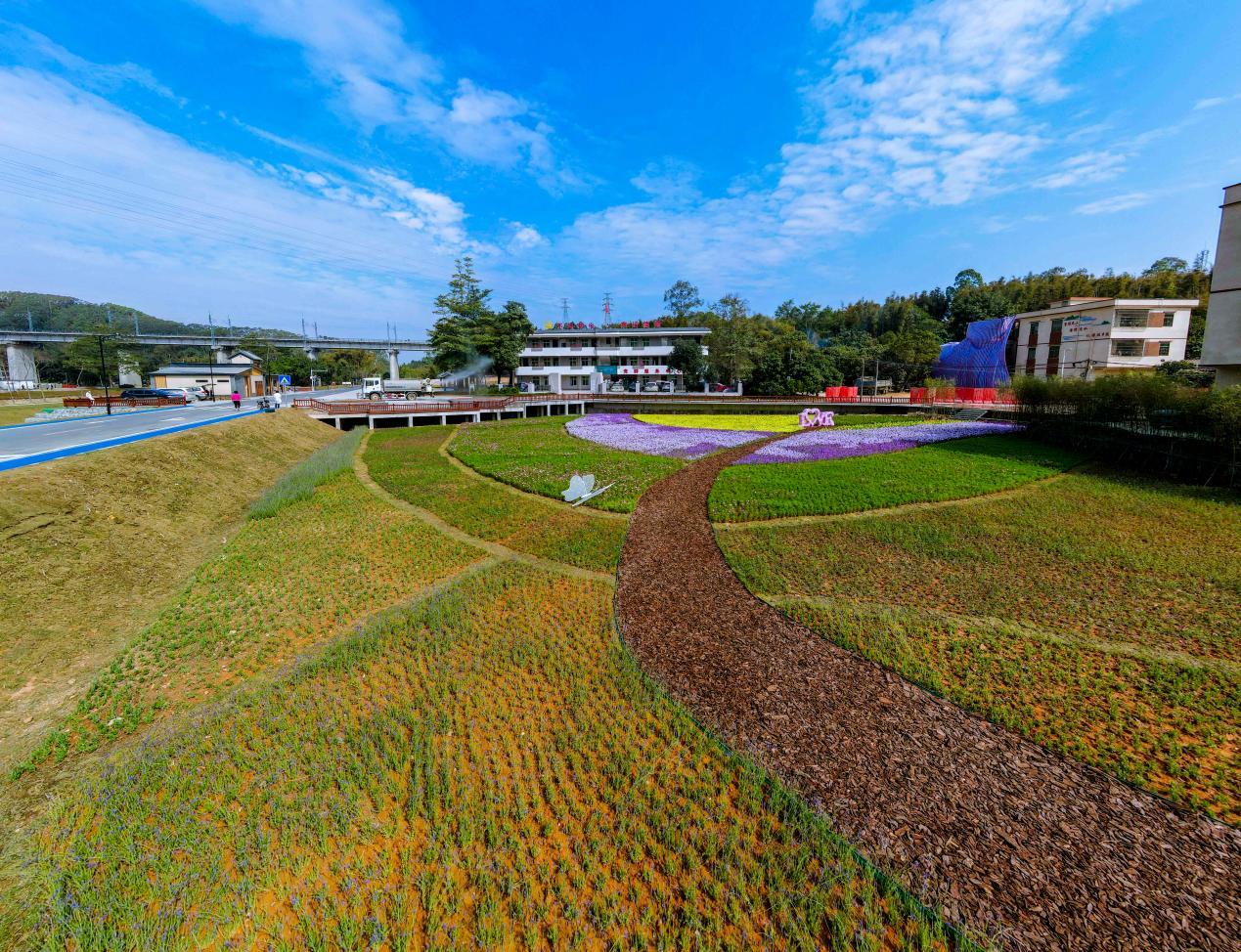 都市田园,美丽麦村。(来源:广州市黄埔区新龙镇)