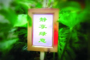 巷子里竖着“静享绿意”牌子。