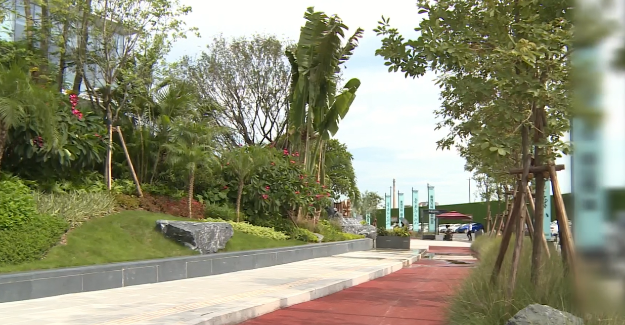 广州增城:新塘镇东江大道南工程新塘大道至西宁路段通车